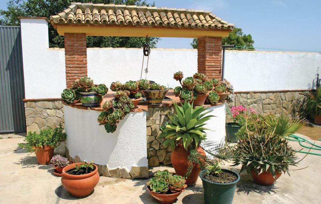 Dehesa Las Yeguas Benalup-Casas Viejas Ngoại thất bức ảnh